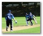 Houghton gets another stumping victim in Ross.