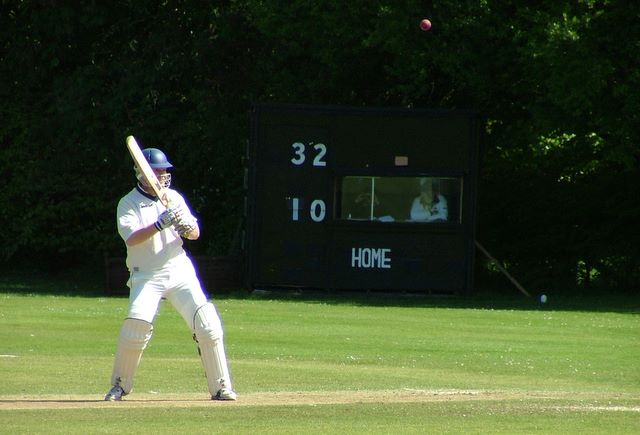 Having wached recent performances Dobs placed himself in the scorebox which I'm certain doubles as a birdwatching hide.