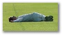 Kraz follows the team line and lies down. It must be a first team thing.