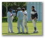 Is the umpire coming to celebrate with the Accies boys?